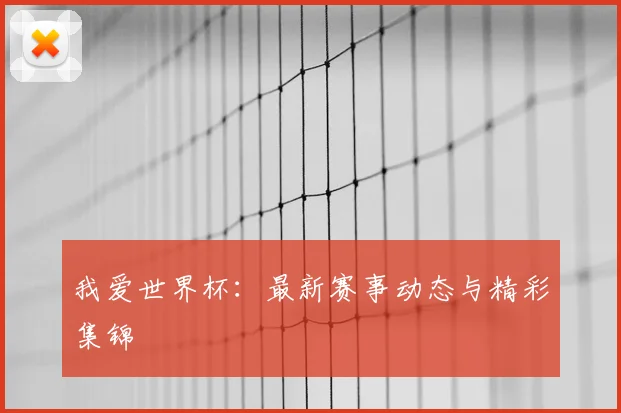 我爱世界杯：最新赛事动态与精彩集锦